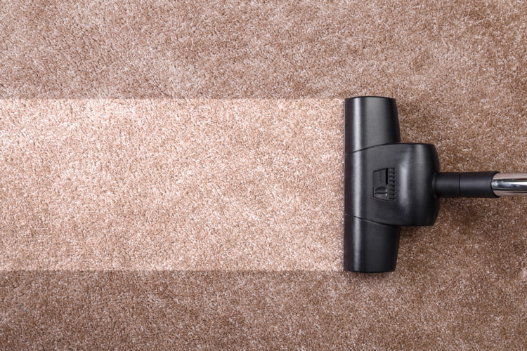 How to use a carpet cleaner