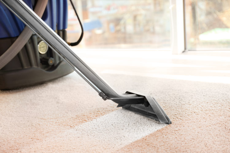 where to rent a steam cleaner