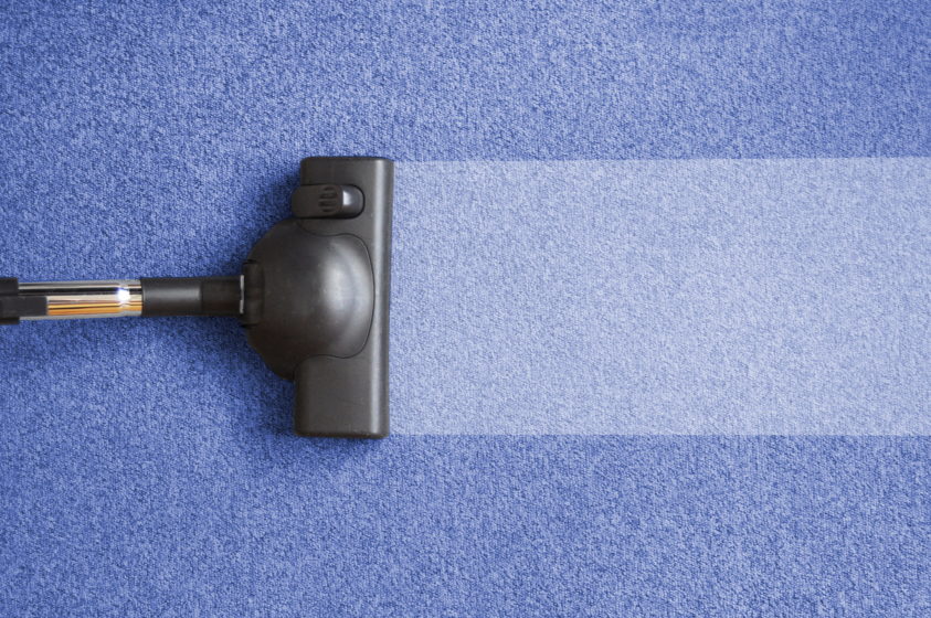 Black Vacuum Cleaner on Blue Carpet