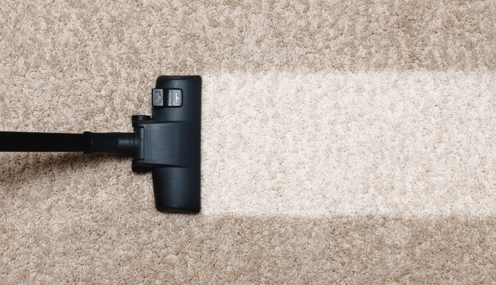 Steam Cleaning a Carpet