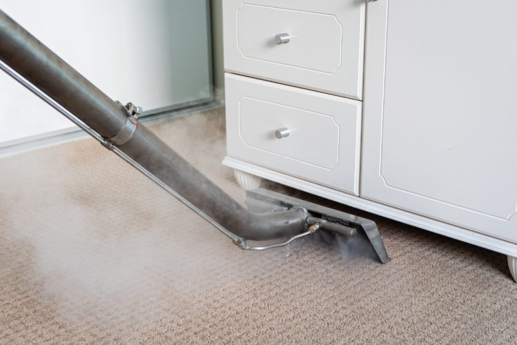 cost to steam clean carpet