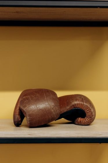 Brown Boxing Gloves