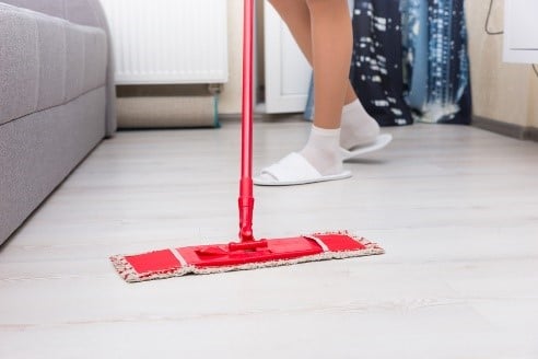 Clean a Dry Mop