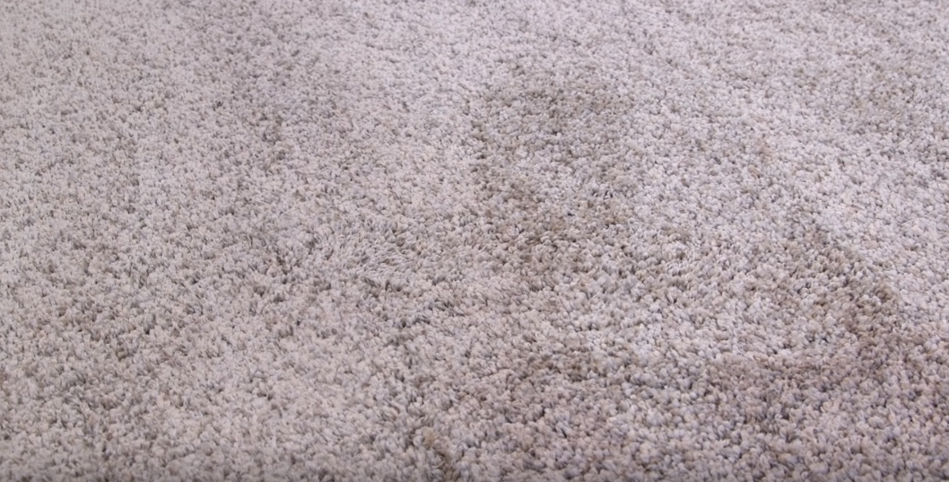 How to disinfect carpet tutorial