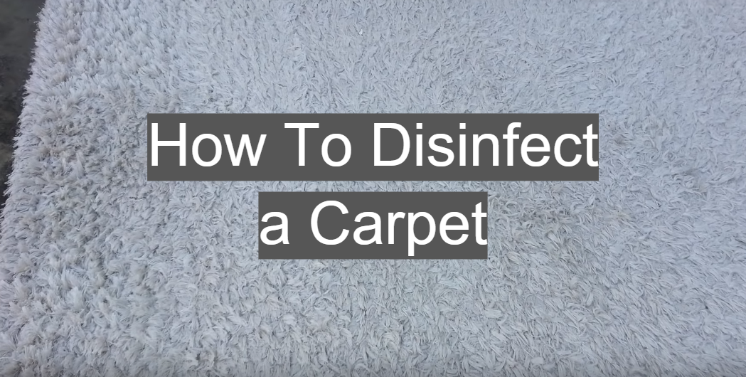 How to disinfect carpet