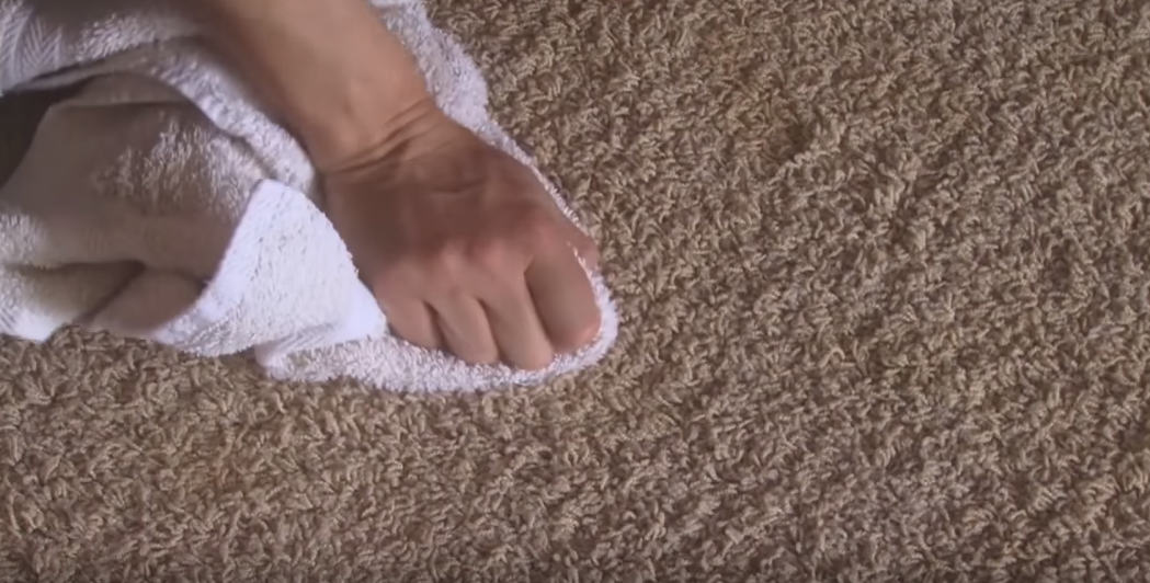 How to disinfect carpet