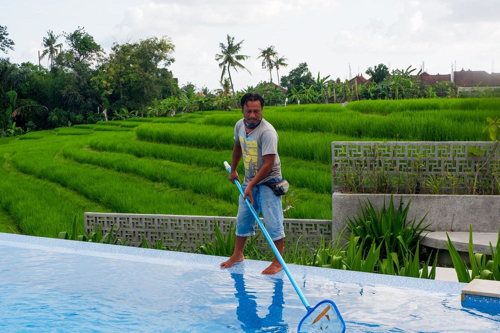 man cleaning pool with pool leaf rake